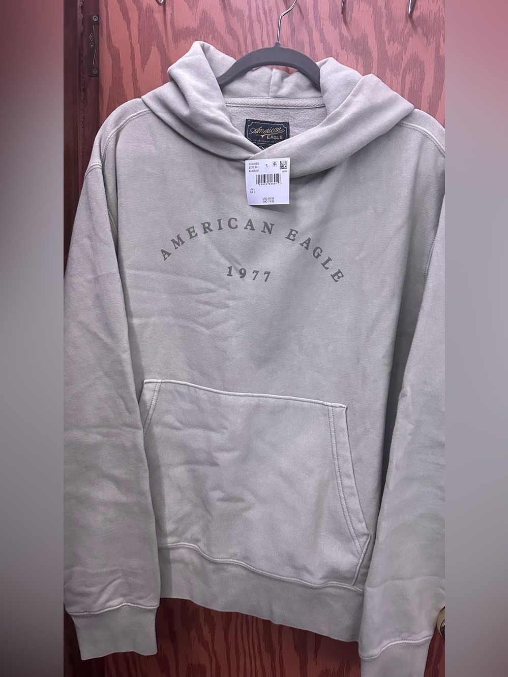 NWT American Eagle Outfitters Men's 1977 Logo Hoodie - Light Sage